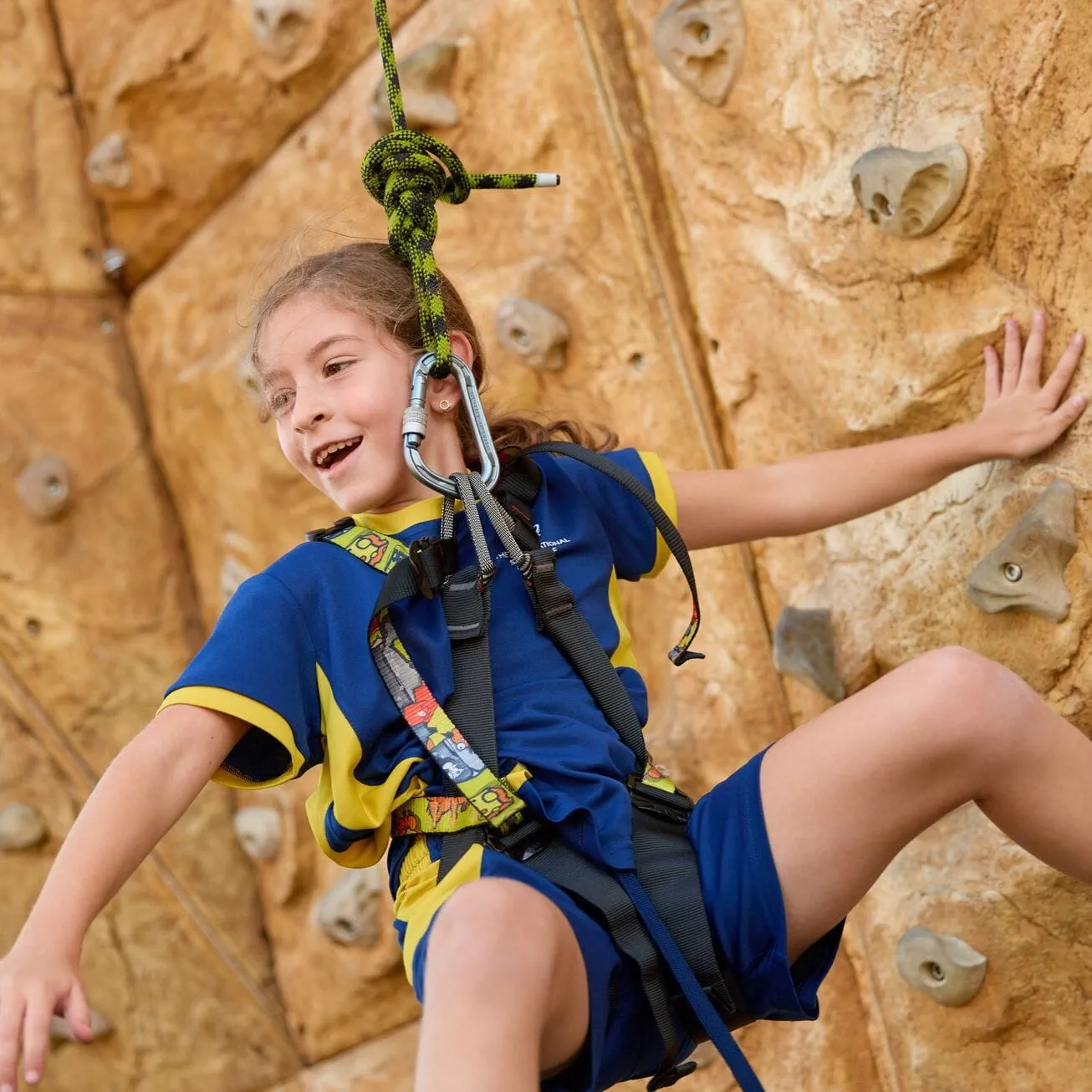 ISM Summer Camp - Feature Cards