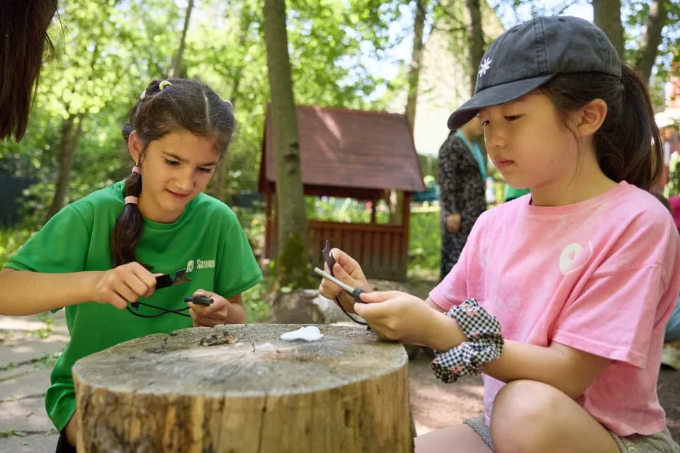 ISM Summer Camp - Feature Cards