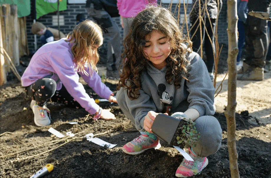 Outstanding Experiences | The International School of Moscow - 07 - Feature Cards Pattern - Expeditions